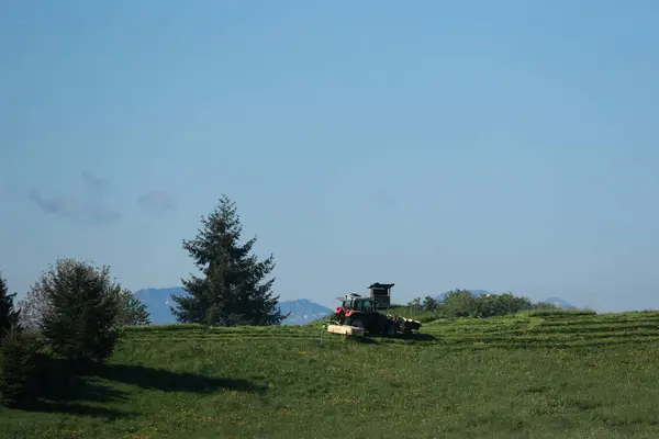 Bir traktör otların arasından geçiyor. Gökyüzü açık ve mavi ve arka planda ağaçlar var. Sahne sakin ve sakin, traktör çimenli yamaçta hareket ediyor.
