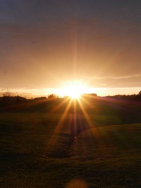 Güneş bir tarlanın üzerinde parlak bir şekilde parlıyor. Güneş, görüntünün ana odak noktasıdır ve çok sayıda otla çevrilidir. Gökyüzü çoğunlukla bulutlu, ama güneş hala görünür.