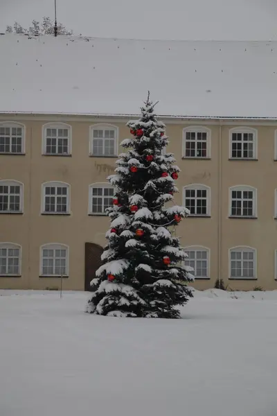 Karla kaplı büyük yeşil ağaç ve kırmızı süsler. Ağaç birçok penceresi olan bir binanın önünde.
