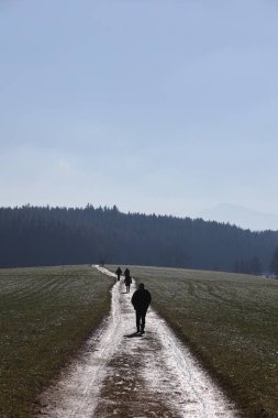 Bir grup insan ormanda bir patikada yürüyorlar. Yol dardır ve ağaçlarla çevrilidir. Gökyüzü açık ve güneş parlıyor. Huzurlu ve huzurlu bir atmosfer yaratıyor.
