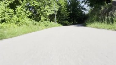 Arka planda bir sürü ağaç olan bir yol. Yol boş ve üzerinde kimse yok.