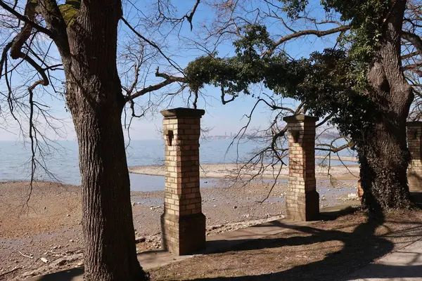 Tuğla duvarı ve ağacı olan bir sahil. Kumsal boş ve gökyüzü mavi.