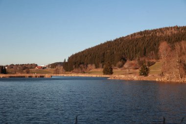 Arka planda orman olan sakin bir göl. Su berrak ve gökyüzü mavi.