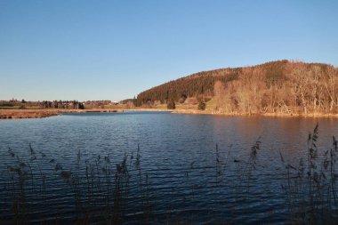 Arka planda birkaç ağaç olan sakin bir göl. Su durgun ve gökyüzü berrak.