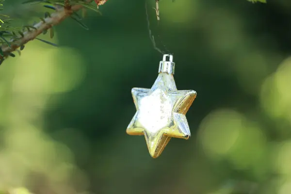 Altın yıldız süsü bir ağaç dalında asılı duruyor. Yıldız bir ipten sarkıyor ve yeşil yapraklarla çevrilidir. Huzurlu ve huzurlu bir sahne.