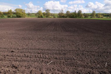 Arka planda birkaç ağaç olan toprak tarlası. Alan boş ve gökyüzü bulutlu.