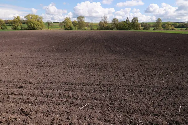 Arka planda birkaç ağaç olan toprak tarlası. Alan boş ve gökyüzü bulutlu.