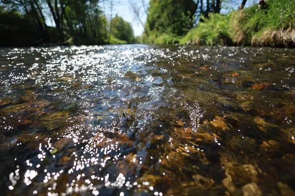 Su berrak ve sakin, bazı kayalar etrafa saçılmış. Güneş suyun üzerinde parlıyor, huzurlu ve huzurlu bir atmosfer yaratıyor.. .