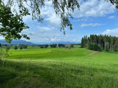 Uzakta kırmızı bir ahır olan büyük bir çim tarlası. Gökyüzü mavi ve güneş parlıyor.