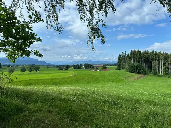 Uzakta kırmızı bir ahır olan büyük bir çim tarlası. Gökyüzü mavi ve güneş parlıyor.