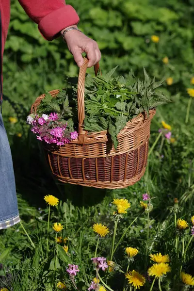 Bir insan tarlada çiçek ve otlarla dolu bir sepet tutuyor. Sepet örüldü ve sapı var. Çiçekler sarı ve pembedir, ve bitkiler yeşildir. Huzurlu ve huzurlu bir sahne.