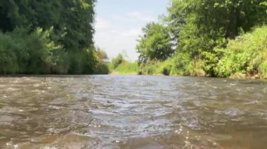 Arkasında bir sürü su ve ağaç olan bir nehir. Su sakin ve berrak.