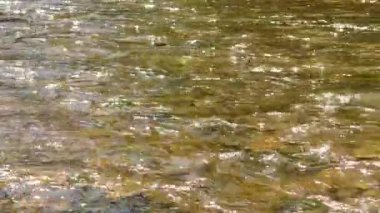 Su kahverengidir ve bir sürü dalgalanması vardır. Dalgalar küçüktür ve su boyunca yayılır.