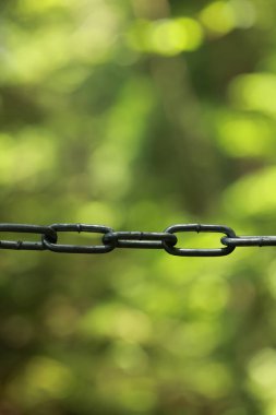 Zincirli tel örgü ve asılmış bir zincir. Zincir siyah, çit yeşil.