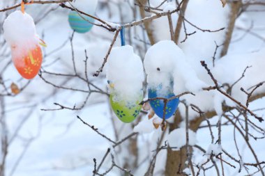 Karda sallanan yumurtaları olan bir ağaç. Yumurtalar farklı boylarda ve renklerde boyanmış.