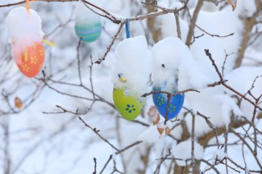 Karla kaplı bir dalın üzerinde birkaç Paskalya yumurtası asılı. Yumurtalar farklı renklerde boyanır ve daldan sarkıtılır. Şenlik ve neşe kavramı