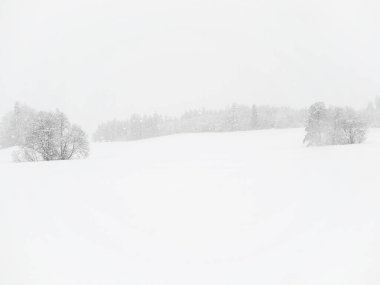 Arka planda ağaçlar olan karlı bir tarla. Kar yağıyor ve gökyüzü kapalı.