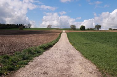 Arka planda ağaçlar olan bir tarladan geçen toprak yol. Yol dar ve dolambaçlı, ve gökyüzü bulutlu