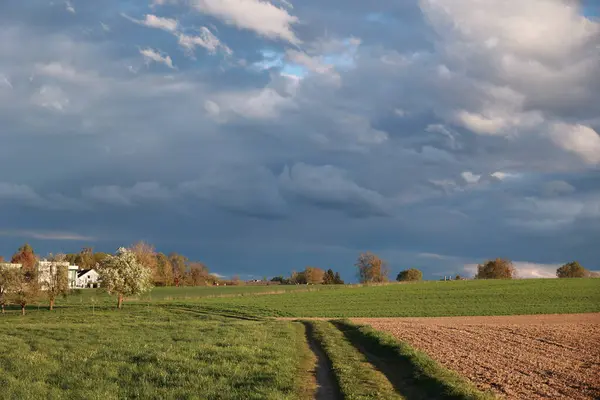 Bulutlu bir gökyüzü ve uzakta bir ev. Gökyüzü bulutlu ve çimenler yeşil