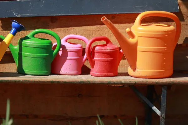 Bir sıra plastik bahçe sulama tenekesi ahşap bir bankta oturur. Kutular yeşil, pembe ve turuncu olmak üzere farklı renklerde. Organizasyon kavramı ve bitkilerin bakımı