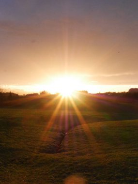 Güneş bir çimen tarlasında parlıyor. Gökyüzü mavi ve turuncu karışımıdır.