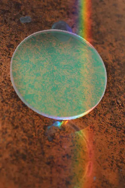 Üzerinde gökkuşağı yansıması olan yeşil bir daire. Çember kahverengi bir yüzeyde.
