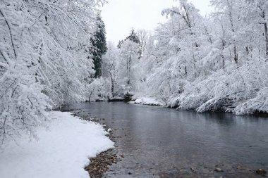 İçinden bir nehir akan karlı bir manzara. Kar ağaçları ve zemini kaplıyor. Huzurlu ve huzurlu bir atmosfer yaratıyor.