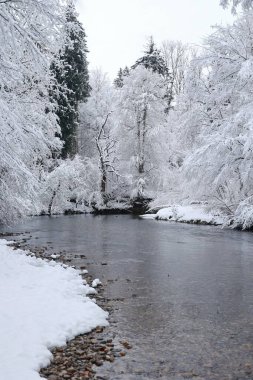 Arkasında ağaçlar olan karlı bir nehir. Kar zemini kaplıyor ve ağaçlar çıplak. Su sakin ve durgun.