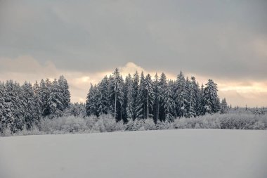 Arka planda ağaçlar olan karlı bir tarla. Gökyüzü bulutlu ve güneş batıyor.