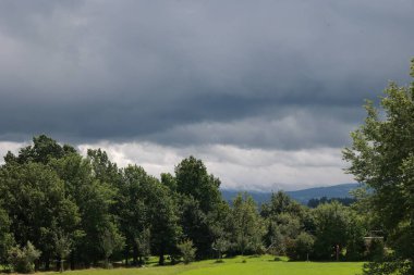 Arka planda ağaçlar olan bulutlu bir gökyüzü. Gökyüzü karanlık ve ağaçlar yeşil.