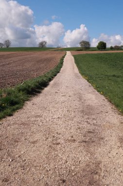 Arka planda ağaç olan kirli bir yol. Yol boş ve gökyüzü temiz.