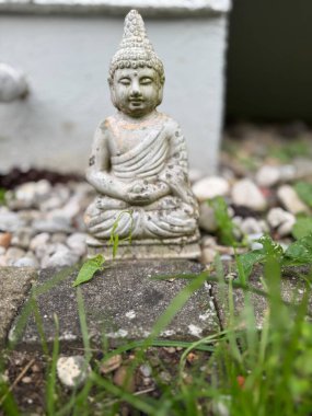 Yeşillik ve taşlarla çevrili huzurlu bir Buda heykeli, farkındalık ve sükunet için mükemmel..