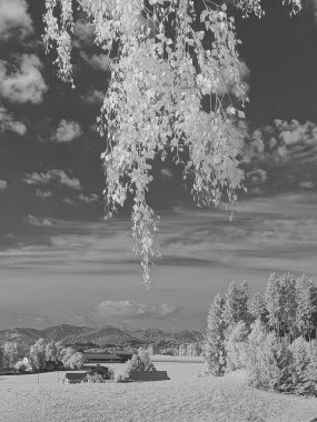 Büyüleyici bir kızılötesi görüntü, bereketli yeşillikler ve dramatik gökyüzü tarafından çerçevelenmiş sakin bir manzara sergiliyor..
