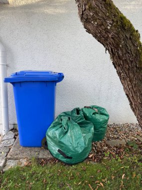 Bir duvar ve ağacın yanında, çöp atmak için birkaç yeşil çöp torbasının yanında mavi bir geri dönüşüm kutusu var.