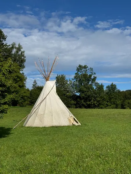 Büyüleyici geleneksel çadır, yukarıdaki berrak mavi gökyüzünün altındaki yemyeşil çimlerin üzerinde gururla durur.