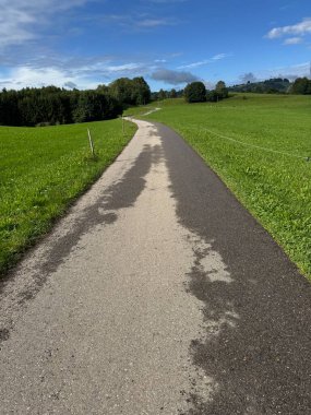 Rengarenk ve sakin bir yürüyüş yolu berrak mavi gökyüzünün altındaki canlı yeşil tarlalarda zarifçe dolaşır.
