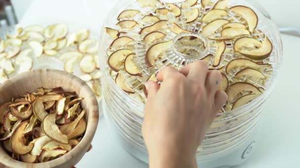 Woman Hand Puts Wooden Bowl Fresh Dryed Apple Chips Prepared — Stock video
