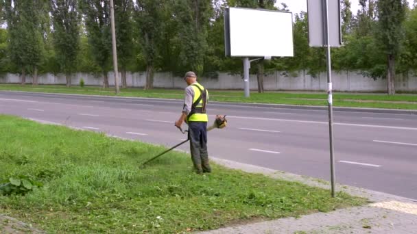 Municipal Worker Uniform Mowing Tall Grass Electric Petrol Lawn Trimmer — Vídeo de Stock
