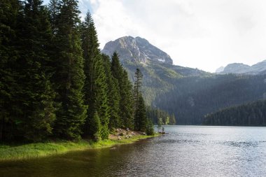 Dağ manzarası, Durmitor Ulusal Parkı, Karadağ. Güzel bir ormandaki göl kenarındaki bankların güzel manzarası.