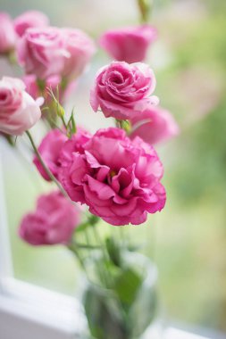 Vazoda parlak pembe çiçeklerden oluşan güzel bir buket.