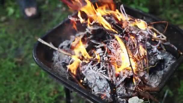 Hombre Poniendo Rama Con Follaje Fuego Exterior Parrilla Barbacoa Cerca — Vídeo de stock