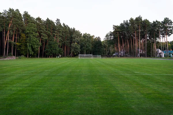 Local football. Soccer grass field near a pine forest, outdoor game