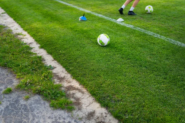 Local football. Soccer grass field near a pine forest, training in the fresh air