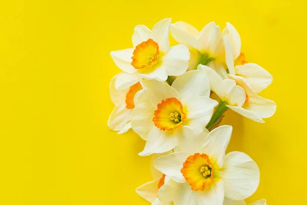 Ramo Flores Narcisos Amarillos Aisladas Sobre Fondo Amarillo Asiento Plano —  Fotos de Stock