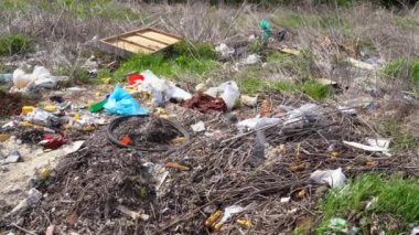 Ormandaki bir açıklığa korkunç bir çöplük. Ekolojik kriz. Ormanda bir sürü eski çöp var. Orman ve doğa kirliliği kavramı. Video görüntüleri 4k 25FPS