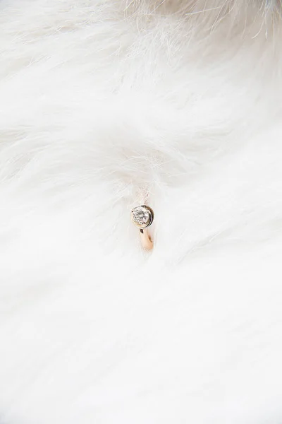 Beautiful Wedding Ring White Background — Stock Photo, Image