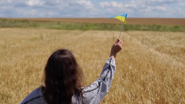 Ładna Brunetka Małą Żółto Niebieską Flagą Ukrainy Stoi Polu Pszenicy — Wideo stockowe