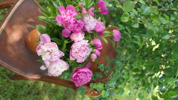 庭にピンクのダブル牡丹の美しい花束 花パエオニアの植物相サラ ベルンハルト梨の木の葉の間に古いスツールの花瓶に 垂直ビデオ映像 25Fps — ストック動画