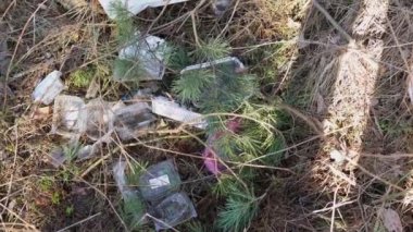Kozalaklı ormandaki çöp yığını. Çevresel sorunlar. Çam ağaçlarının arasında yere saçılmış plastik yiyecek konteynırları. 4k 25FPS 'de kirlilik sorunu ve doğa koruması kavramı