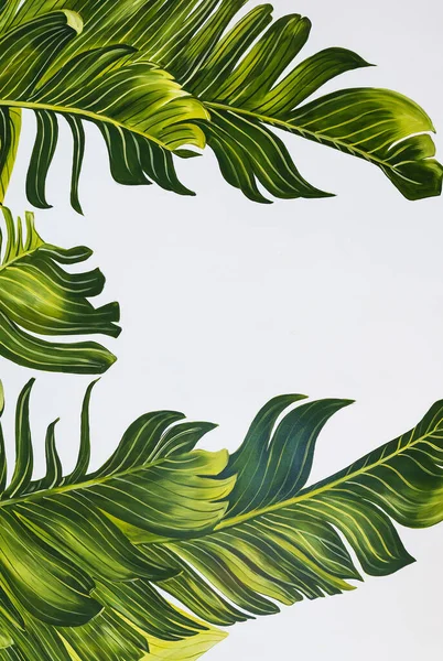 Tropical palm leaves are beautifully painted with acrylic paint in different shades of green. Vertical photo